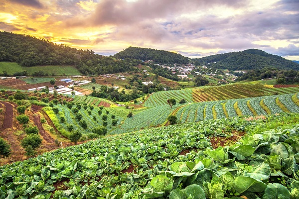 Ecological farming