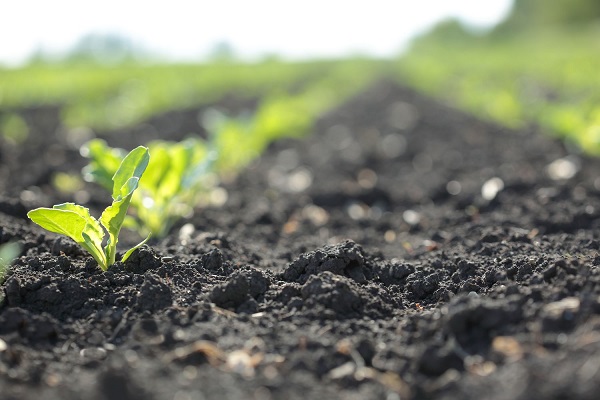 Soil Conservation Methods & Benefits Of Implementation