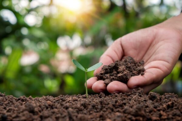 Africa Fertilizer and Soil Health (AFSH) Summit 2023