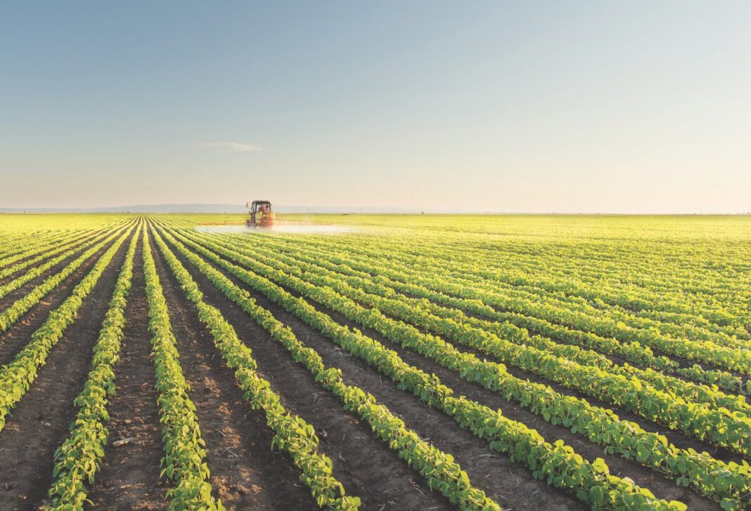 AfDB chief tells investors to consider Africa agribusiness sector