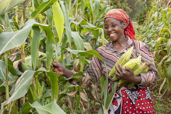 African farmers to benefit as Apollo Agriculture gears for expansion