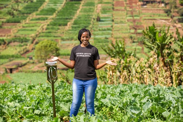 Kenyan wins top African award for early crop disease detection innovation