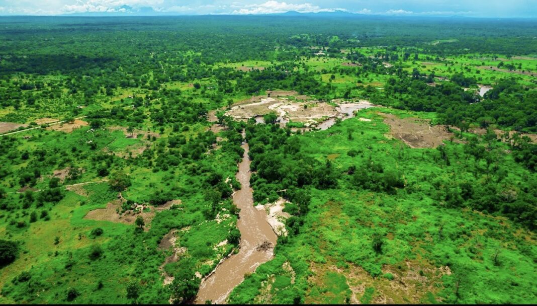 Major deal signed to bolster Mkulazi agriculture investment city