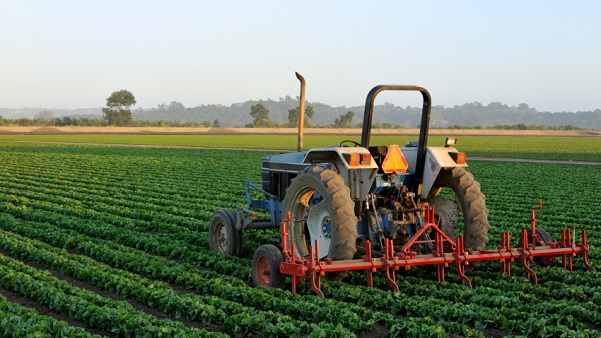 UK Minister for Africa pledges funding to accelerate growth in Africa agriculture sector