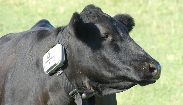 Cutting-Edge Vaccination and Health Monitoring Tools for Livestock Farmers