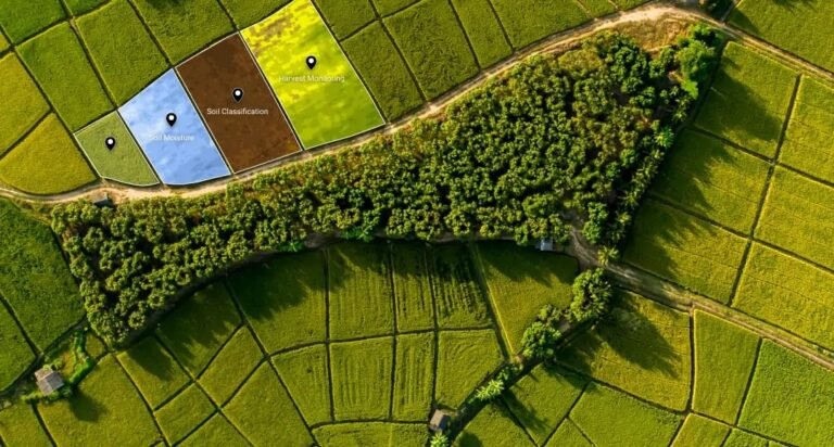 Zimbabwe’s Champions Insurance boosts farmers with satellite imagery technology
