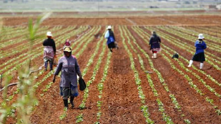 SA Agriculture reverses course and dips by 2.1% in Q2 of 2024