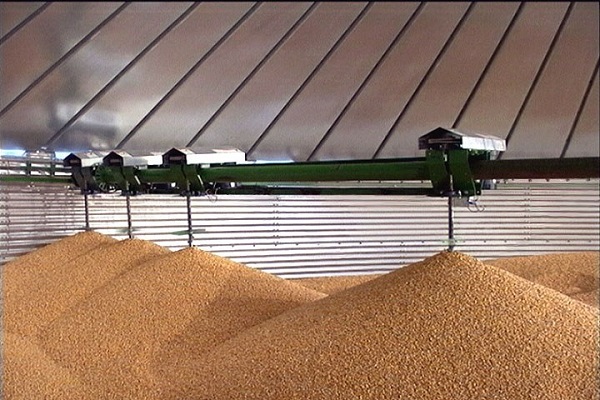 Grain moisture monitoring: Tools and techniques for optimal drying