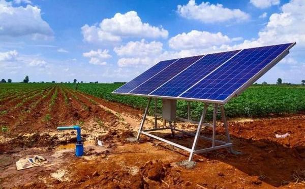 Harnessing the sun Solar water pumps revolutionizing irrigation