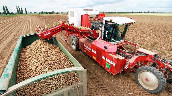 Harvesting Success: Exploring Cutting-Edge Potato Harvesting Technology