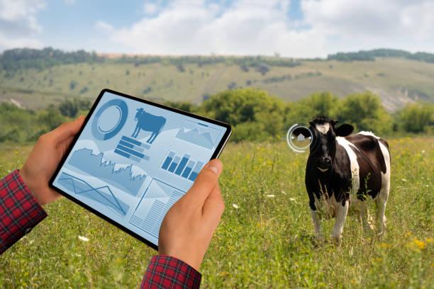 Precision livestock farming Tools and technologies for efficiency