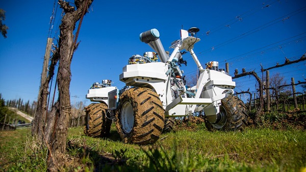 The future of forestry High-tech tools leading the way