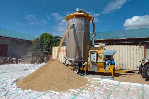 Modern grain handling solutions for post-harvest loss reduction