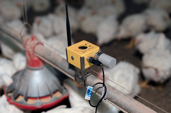 Revolutionizing poultry farming: The latest equipment and technologies