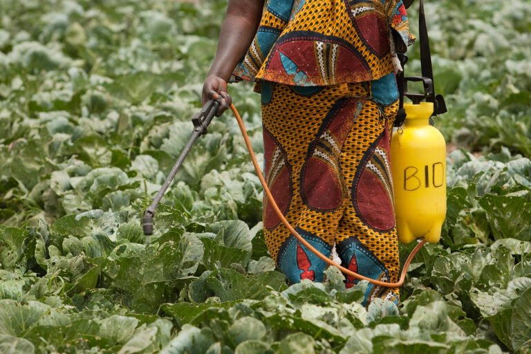 Kenya Withdraws 77 Pesticides from Market in Major Agricultural Reform