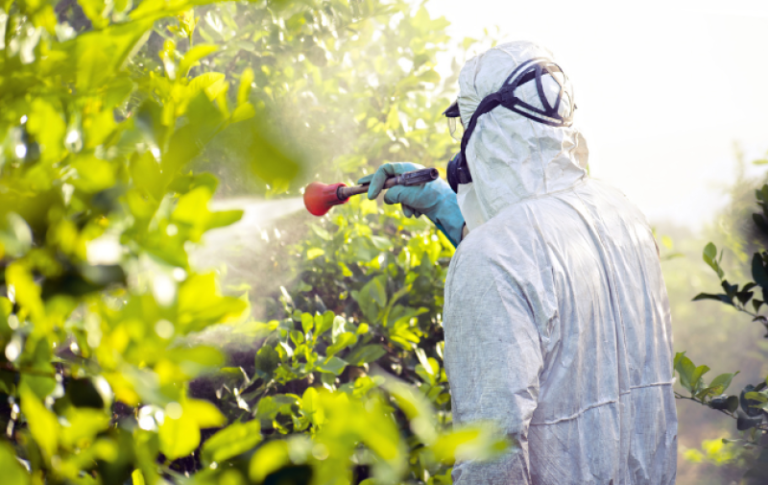 Fake Farm Inputs: Counterfeit Crisis Threatens Kenya’s Agriculture