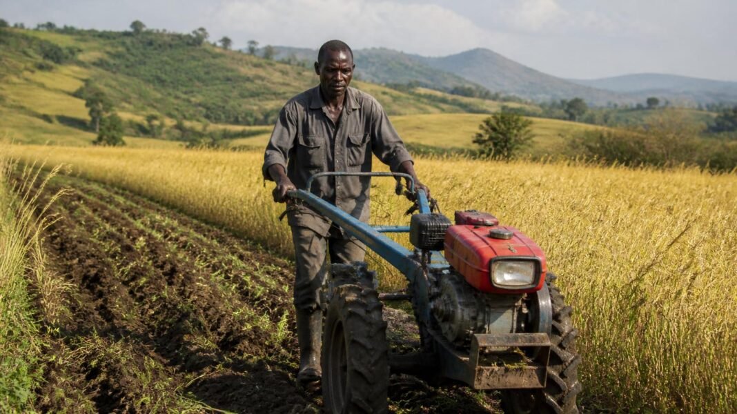 Africa Doesn't Lack Farmers Who Want Modern Equipment