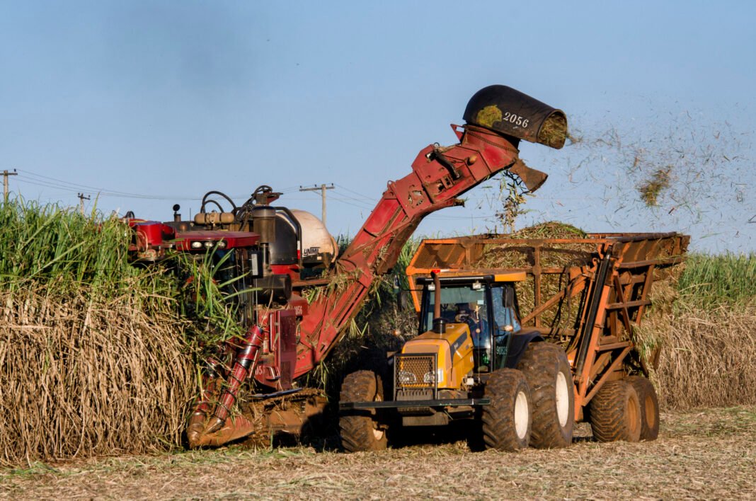 Kenya Overhauls Sugar Licensing Regime