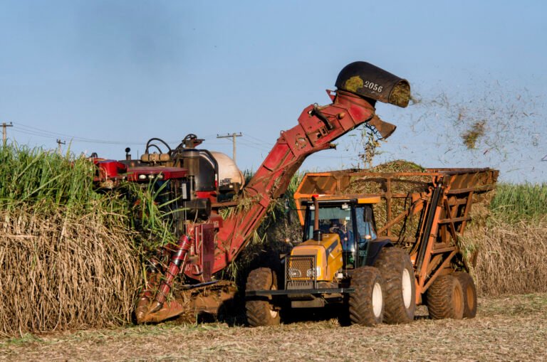 Kenya Overhauls Sugar Licensing Regime with Import Freeze and Tougher Factory Approval Rules
