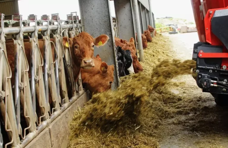 SPACE 2026 Preview: The Award-Winning Farm Technologies Everyone Will Be Talking About
