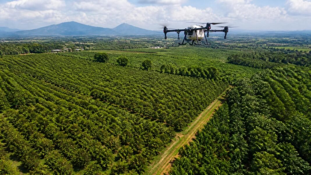 inside-kakuzis-digital-farm-strategy-drone