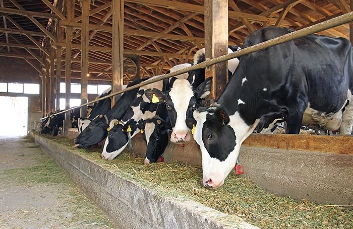 Agro-Dairy & Poultry East Africa 2023