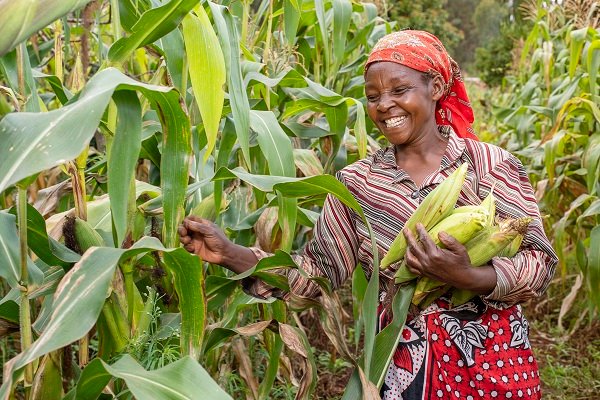 African farmers to benefit as Apollo Agriculture gears for expansion