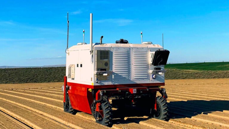 How Laser Weeding Technology Works: A Breakthrough in Sustainable Agriculture