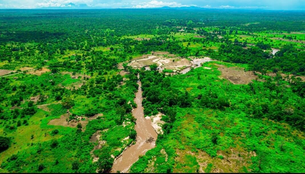 Major deal signed to bolster Mkulazi agriculture investment city