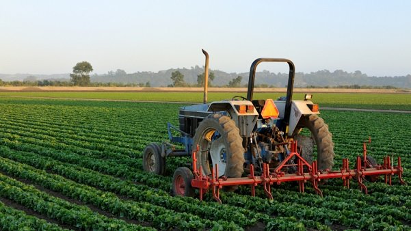 UK Minister for Africa pledges funding to accelerate growth in Africa agriculture sector