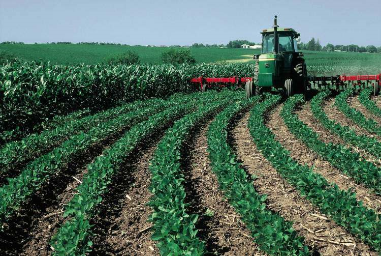Conservation tillage: Protecting soil health while boosting yields