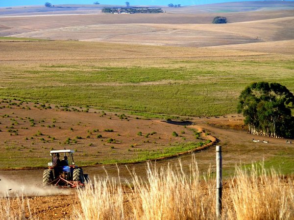 How Innovations Are Boosting Regenerative Agriculture