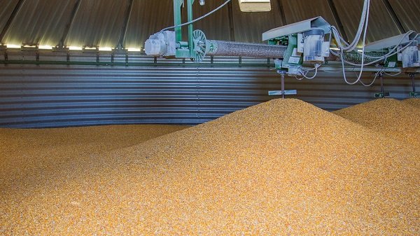 The future of crop storage: