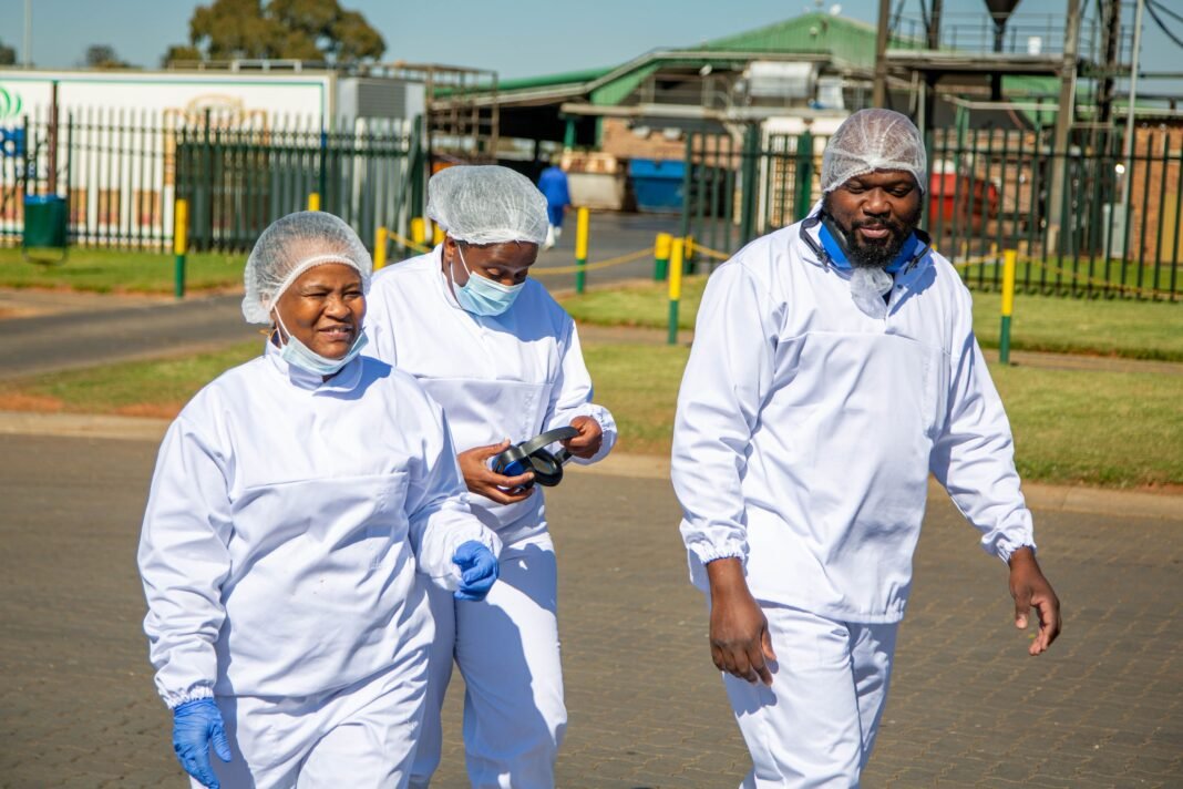 Daybreak Farms Chairperson Resigns Amid R625K Payout Storm