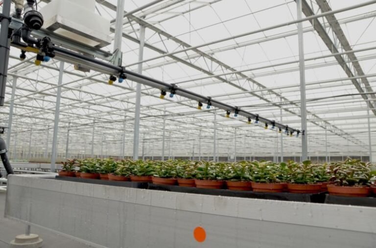 Top Smart Irrigation Systems for African Farms