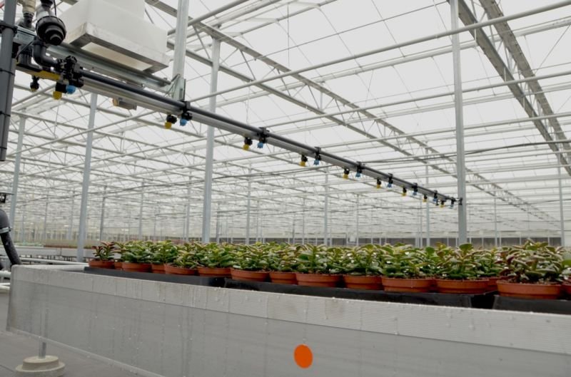 A griculture remains a backbone of Africa’s economy, employing over 60% of the continent's workforce and contributing significantly to GDP in many countries.