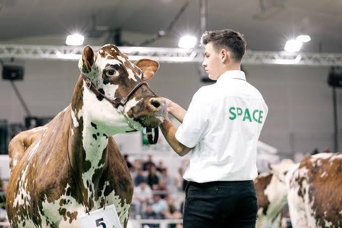 SPACE 2026 to Spotlight Water as a Critical Resource for the Future of Livestock Farming