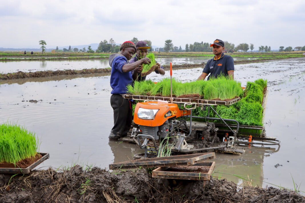 Mwea's Mechanisation Gap