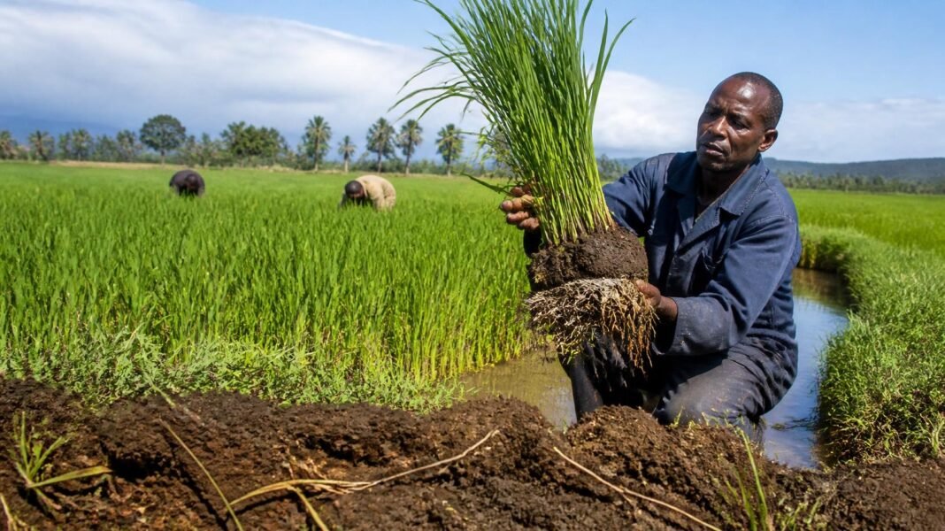 How Biological Amendments Could Help Farmers